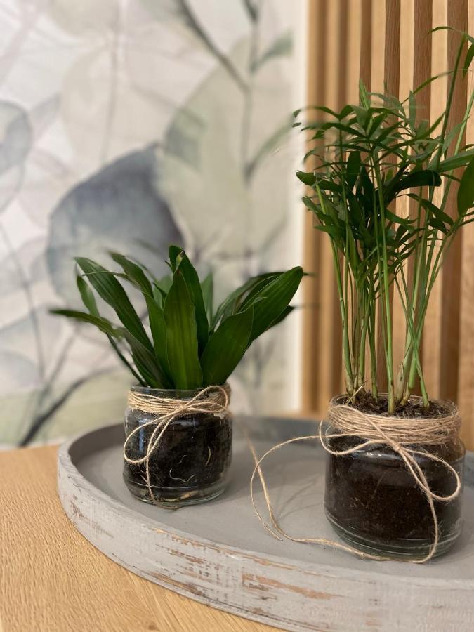 Botanic Nest Panoramic Studio Bucureşti Ngoại thất bức ảnh