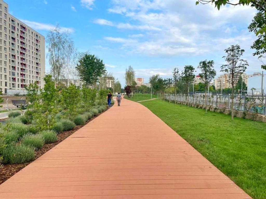Botanic Nest Panoramic Studio Bucureşti Ngoại thất bức ảnh